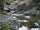 2007-03-31 017.JPG